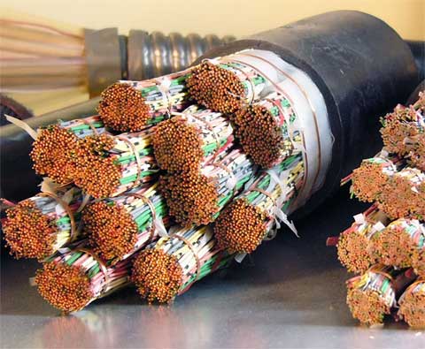 What's the difference between a full rate filter and a normal filter (5-pin) What's the difference between a full rate filter and a normal filter (5-pin)
